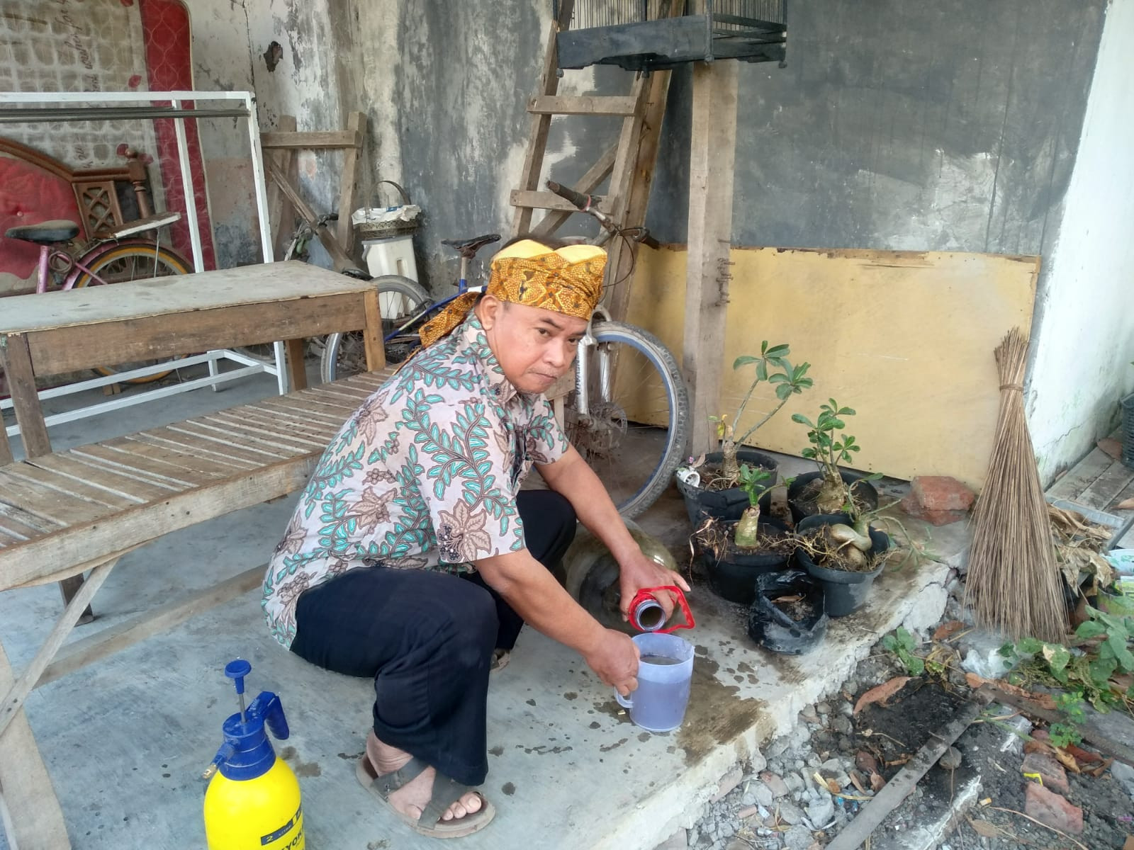 Kang Sobari Teliti Daun Mangrove Dan Air Laut Jadi Bahan Baku Pupuk Cair Info Baru Indonesia 